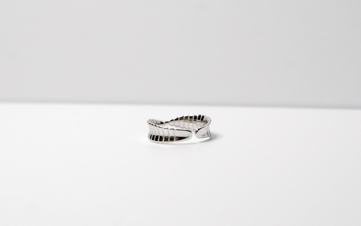 Mobius Silver Ring | Alegant - Alegant